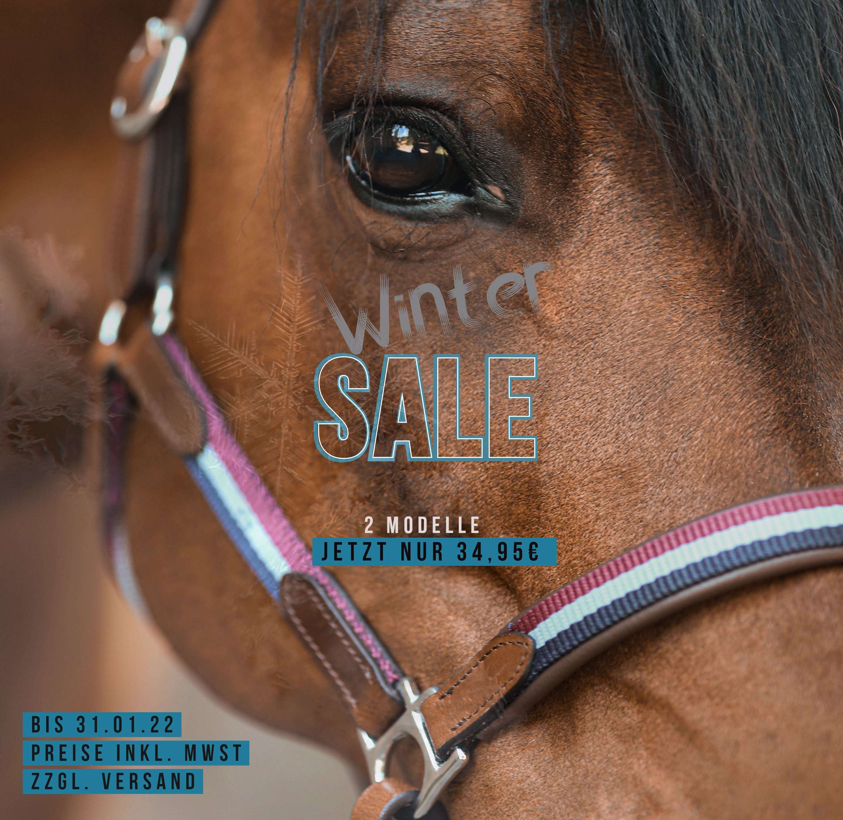 Winter_Sale_Cover_Halfter-min
